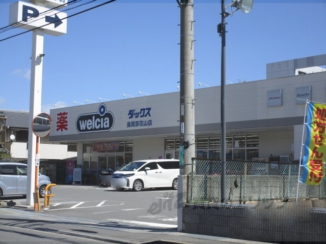 ドラックストア　ダックス長岡京花山店（ドラッグストア）まで550m