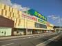ショッピングセンター　ファッションセンターしまむら飯山満店（ショッピングセンター）まで3540m
