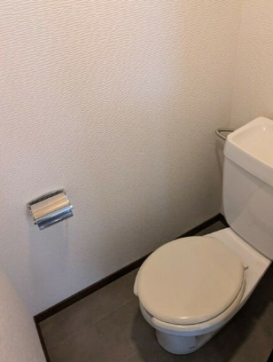 コーポグリーンIIA・Bのトイレ写真