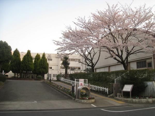 小学校　連光寺小学校（小学校）まで356m