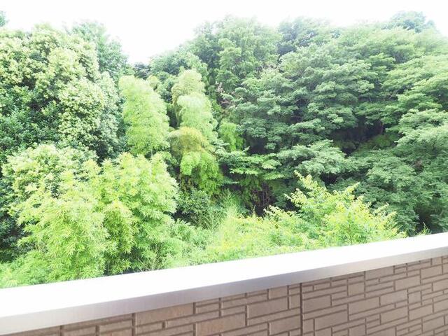 眺望　眺望