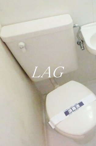 ＪＲ埼京線 板橋駅 徒歩8分 3階建 築37年のトイレ写真