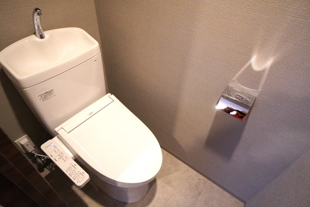 リビオメゾン新大橋のトイレ写真