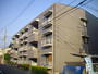 メゾン池上 2階 築33年6ヶ月の賃貸物件