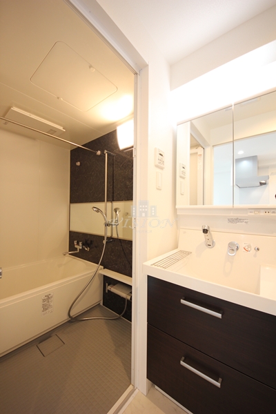 洗面設備　室内写真は別タイプのものです