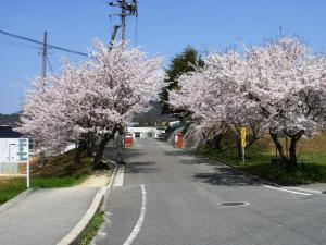 【ジェルメSの小学校】