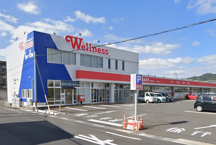 ドラックストア　ウェルネス川津北店（ドラッグストア）まで166m