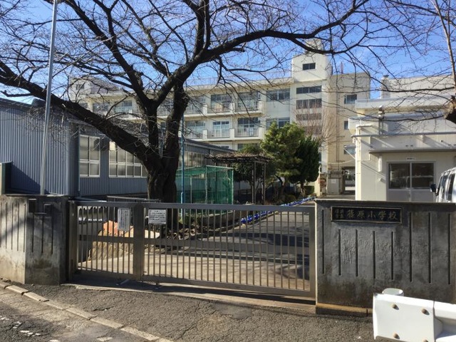 小学校　横浜市立篠原小学校（小学校）まで599m