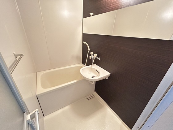 バス・シャワールーム　※別部屋の写真です