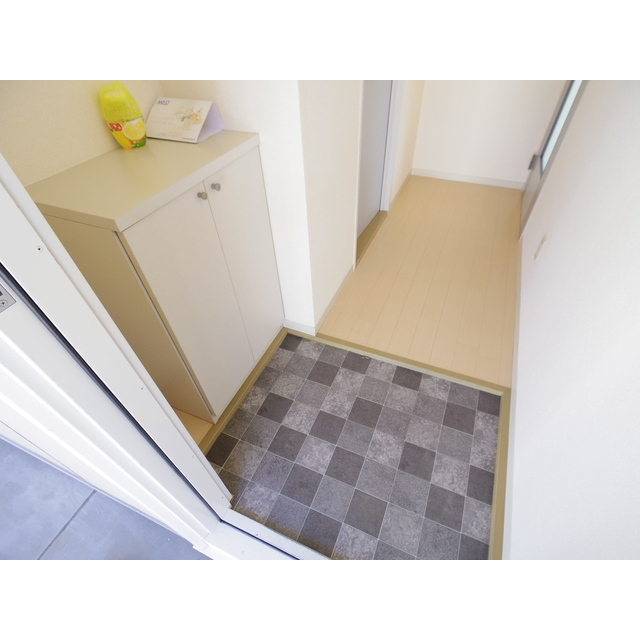 玄関　リノベーション前の画像です