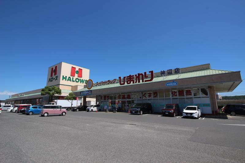 ドラックストア　ひまわり（ドラッグストア）まで650m