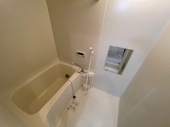 バス・シャワールーム　※別部屋の写真です