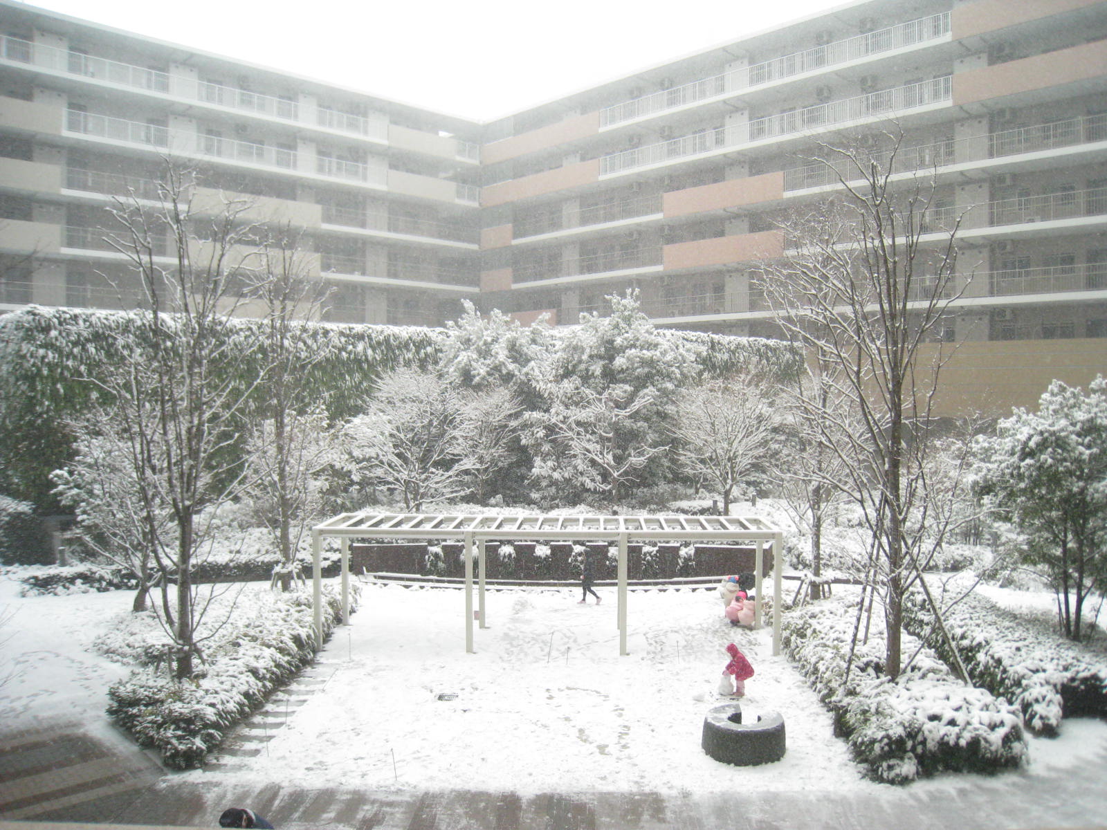 その他共有部分　中庭