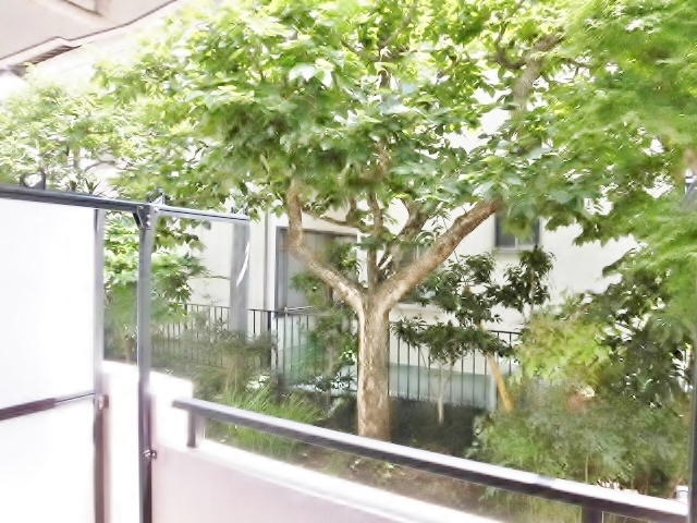 眺望　同建物の別部屋の写真です