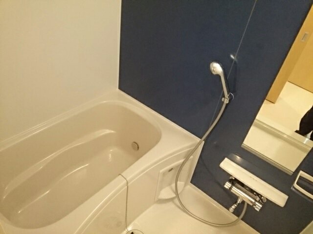 バス・シャワールーム　落ち着いた空間のお風呂です