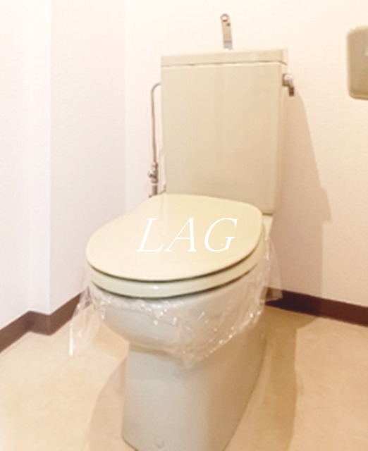 トイレ　トイレです。