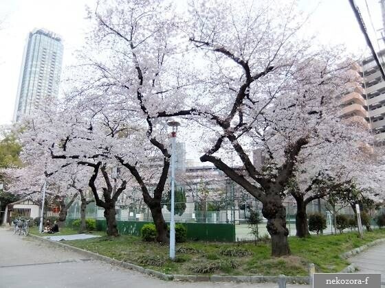 公園　浦江公園（公園）まで155m