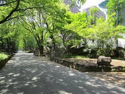 公園　氷川緑地（公園）まで1088m