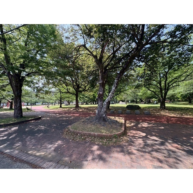 公園　山王公園（公園）まで856m