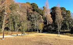 公園　大蔵三丁目公園（公園）まで643m