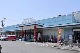 スーパー　スーパーヤマダイ アオヤマ店（スーパー）まで859m