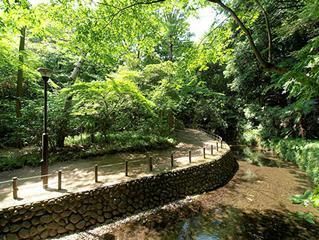 公園　（参考）等々力淫谷公園（公園）まで397m