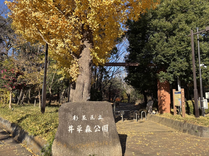 公園　井草森公園（公園）まで500m