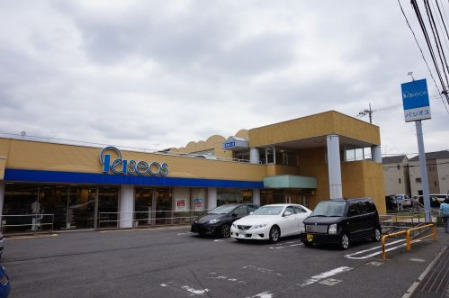ショッピングセンター　パシオス野川店（ショッピングセンター）まで638m