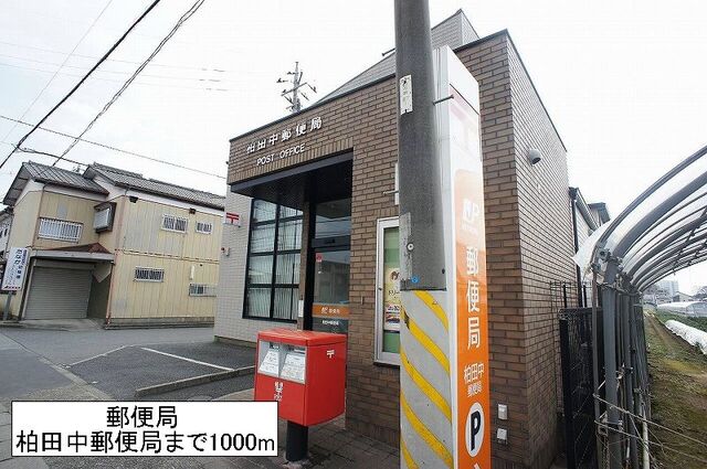 その他　柏田中郵便局（その他）まで1000m