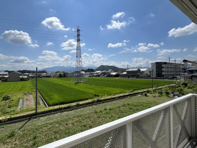 眺望