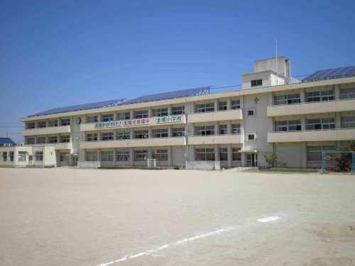 小学校　橿原市立金橋小学校（小学校）まで430m