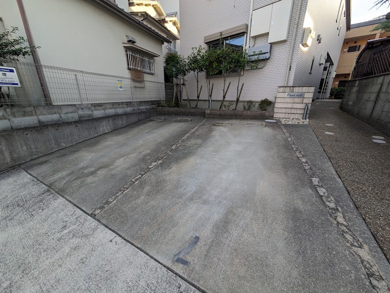パナウィルのその他写真