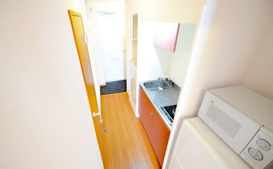 玄関　※別部屋の写真です