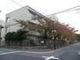 中学校　大阪市立本庄中学校（中学校）まで524m