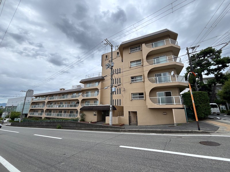 スターハイツ住吉川の外観写真