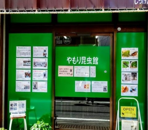 その他　じっけんばやもり・やもり昆虫館（その他）まで71m
