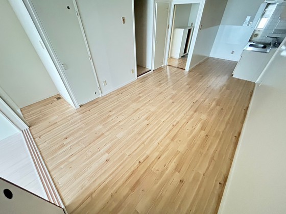 居室・リビング　※別部屋の写真です