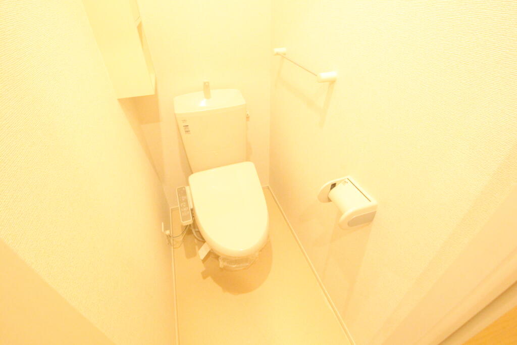 ＪＲ徳島線 鮎喰駅 徒歩16分 2階建 築10年のトイレ写真