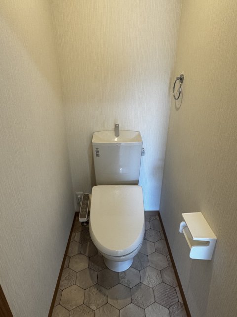 トイレ　写真は別号室です