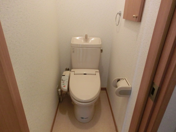 サンフロイデ豊田のトイレ写真