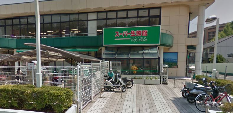 スーパー　スーパーTAIGA岡津店（スーパー）まで641m