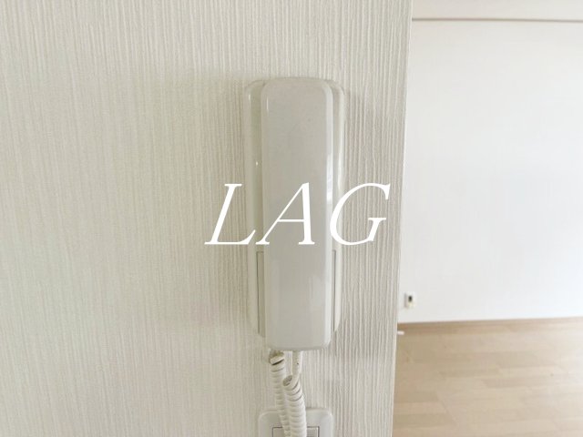 セキュリティ　インターホンです。