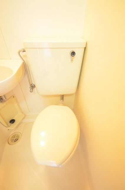 ハイライズ田中のトイレ写真