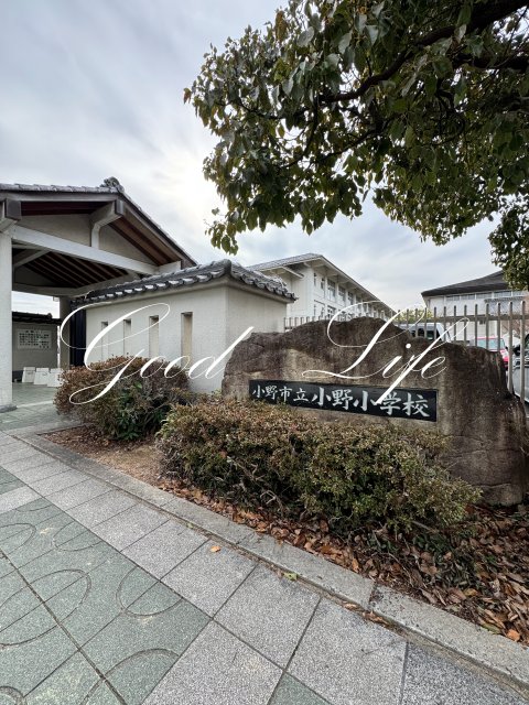 小学校　小野市立小野小学校（小学校）まで1100m