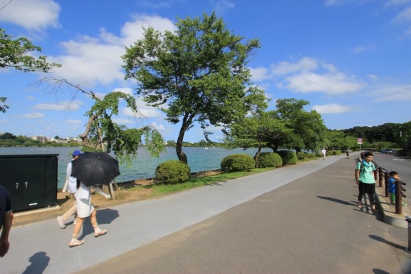 【水戸市見川のアパートのスーパー】