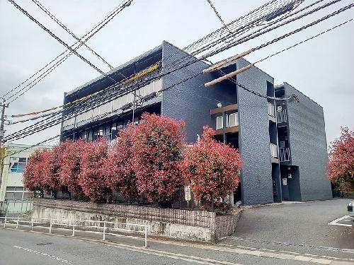 建物外観　2024年4月5日　外壁塗装工事完了