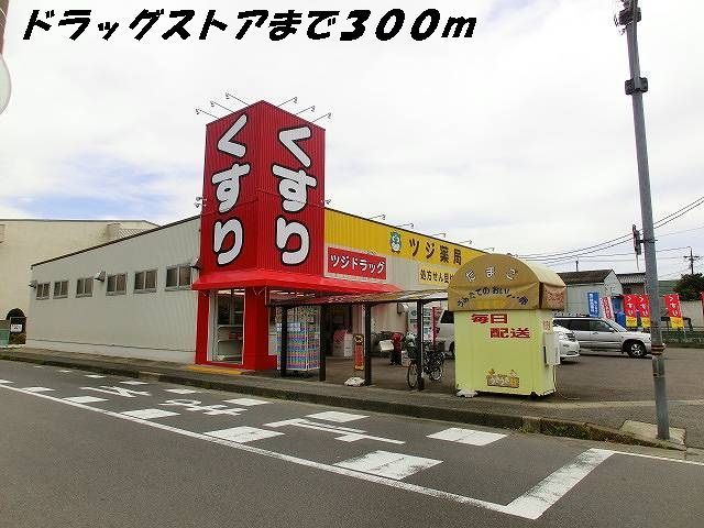 ドラックストア　ツジ薬局（ドラッグストア）まで300m