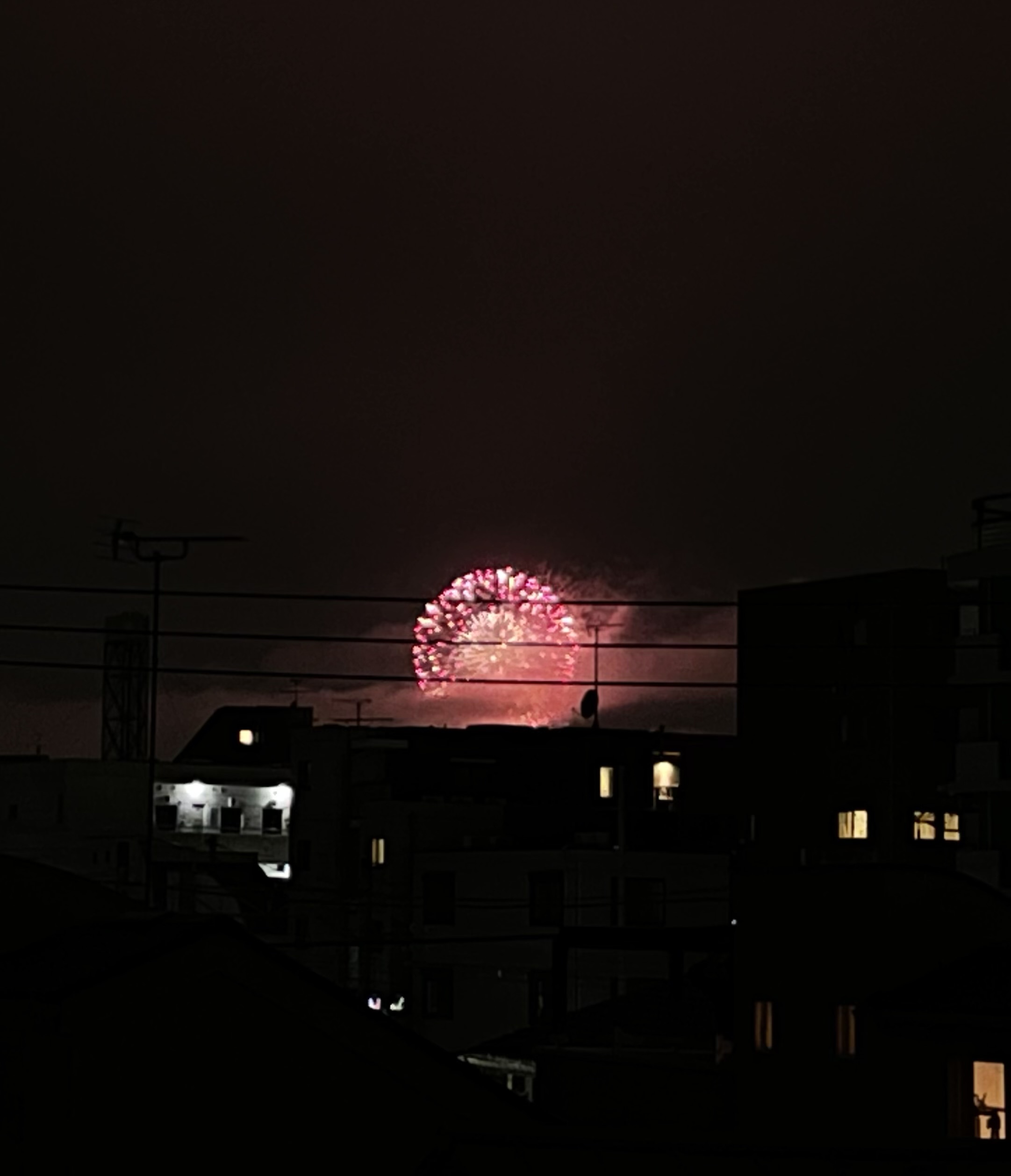 眺望　ルーフバルコニーから多摩川花火大会が見られます。