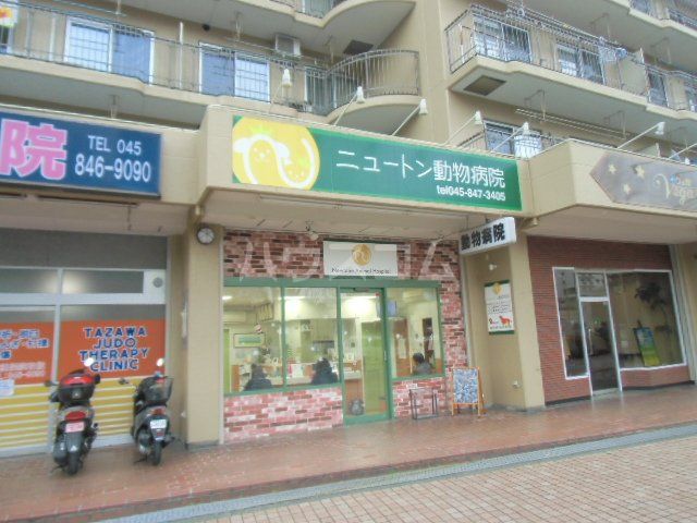 病院　ニュートン動物病院（病院）まで826m