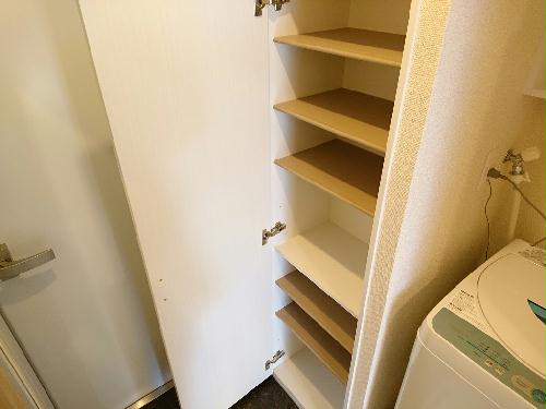 玄関　※反転プランあり